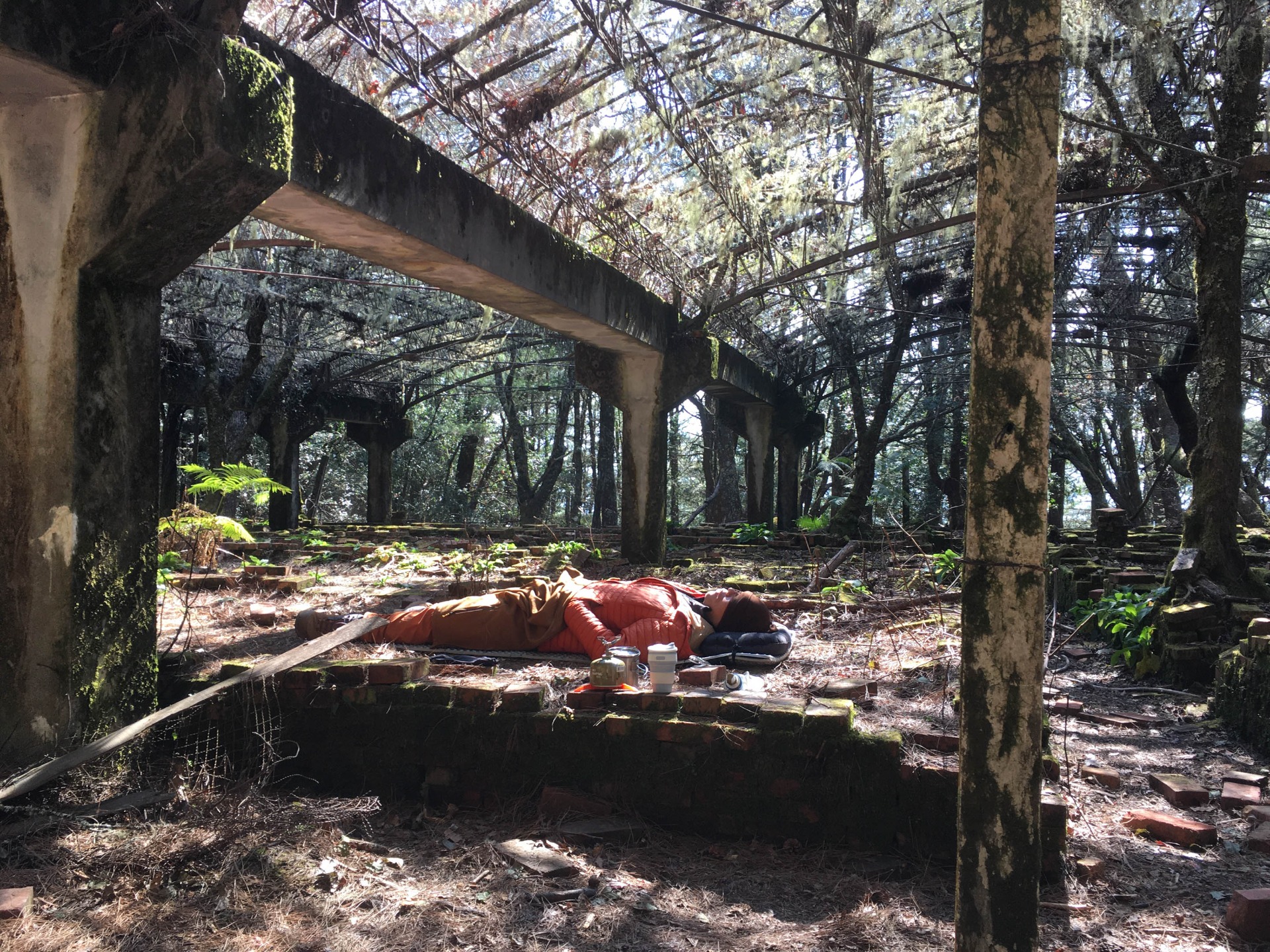 下山前，累癱在牡丹園曬太陽的攝影師江。