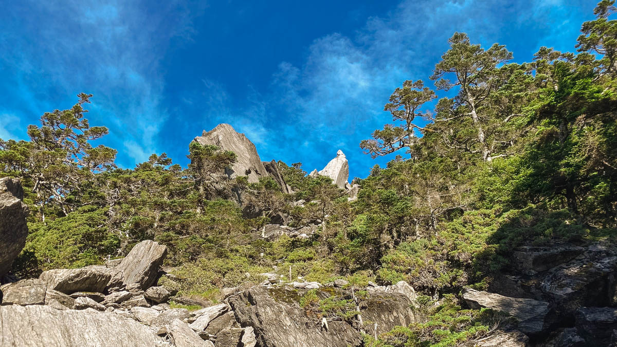 這樣奇特的地景,來自於中央山脈段堅硬的「變質砂岩」侵蝕而成,特別分佈於南湖南峰和中央尖山一帶。
