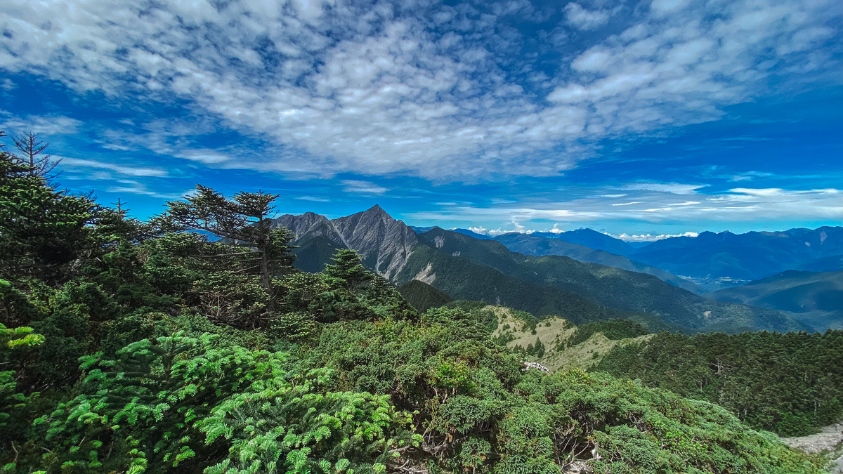 南峰巴巴山線,一路都有峻美的中央尖山在側,讓人想著爬呀爬呀是不是不小心就會到中央尖山了!(做夢才會)